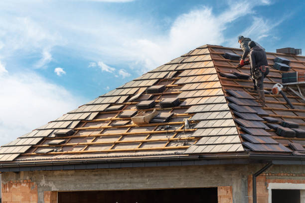 Best Skylight Installation and Repair  in La Presa, CA