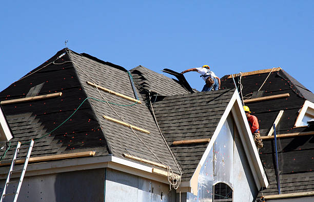 Best Roof Insulation Installation  in La Presa, CA