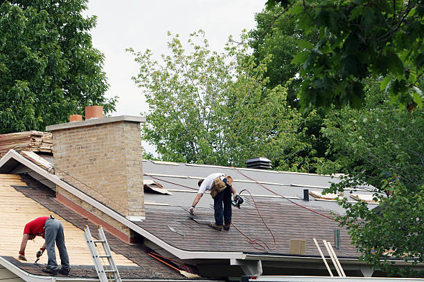 Best Roof Leak Repair  in La Presa, CA