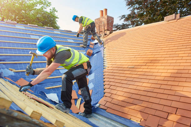 Best Asphalt Shingle Roofing  in La Presa, CA