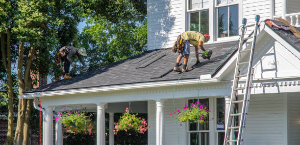 Best Roof Ventilation Installation  in La Presa, CA